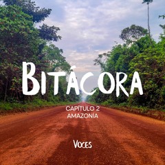 Bitácora, Capítulo 2. Amazonía 2