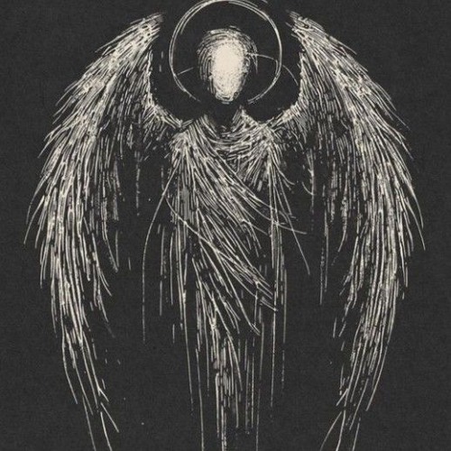 Trap Divinity (VHM4D)
