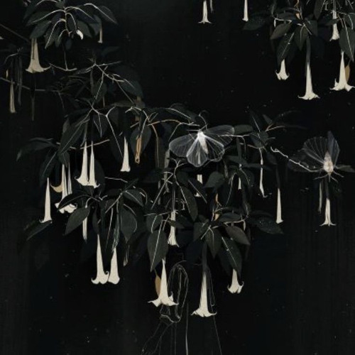 Jardin des ombres