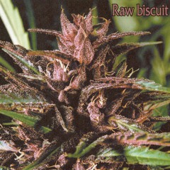 Raw Biscuit (Free download)