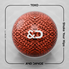 TEKO - Shake Your Hips (Original Mix)