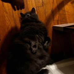 UntitledJun20205(sleepy demo)
