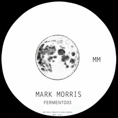 Mark Morris - Fermento03 (Original Mix)
