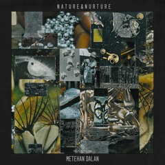 Metehan Dalan - Device