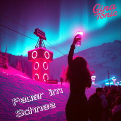 Feuer im Schnee