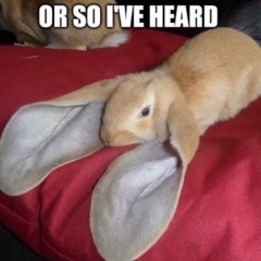 So I’ve heard