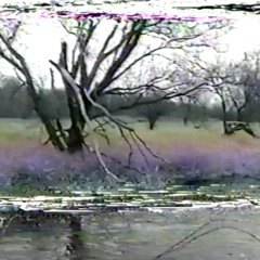 Kid Andre & trees -  monoChrome