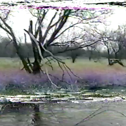 Kid Andre & trees -  monoChrome