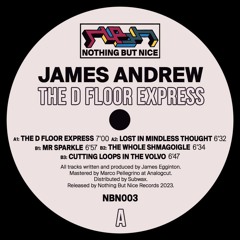 PREMIERE: James Andrew - The D Floor Express