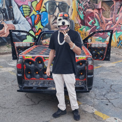 MC GW SURRA DE PAU NA PIRANHA ( DOG BEATZ )