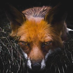 Dotem - Deception (work in progress)