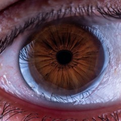 Ben Flowers -  Ecstasy (TRVBeats Mix\Master 2024)