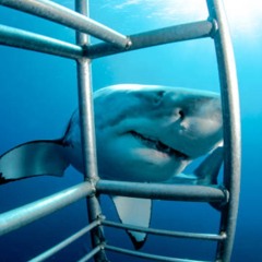 Cage Match (Intense Tension) (as heard on Operation Undercover)