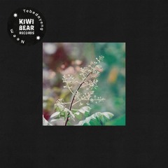 Lily (Kiwi Bear Records)