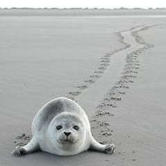 tr1st4n - gawdd fml♰♰ demo