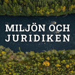 10. Tjäderspelet I Malsättra – Om Ersättning När Det Inte Finns Någon Rätt Till Ersättning