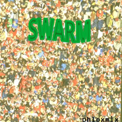 Tune-Yards - Swarm (PhloxMix)