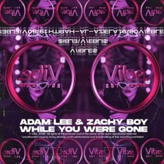 Adam Lee X Zachy Boy - While U Where Gone (VIBLES0891)