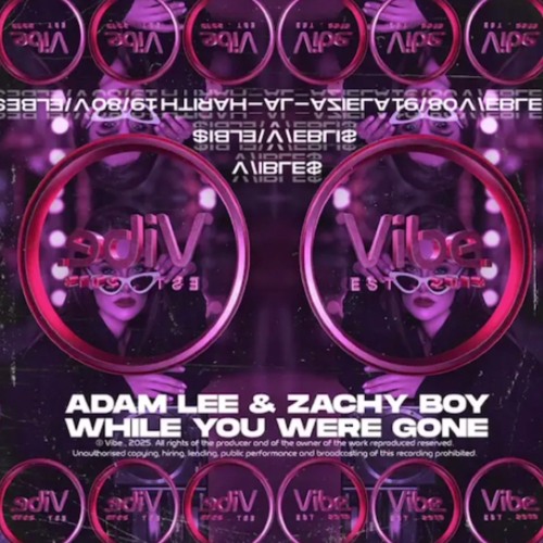 Adam Lee X Zachy Boy - While U Where Gone (VIBLES0891)
