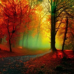 walking as a metaphor