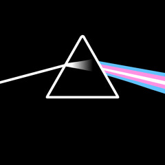 Misguided Ghosts - Paramore (Shitty Acapella Cover)