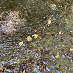 place&time feat. Syllaballistic