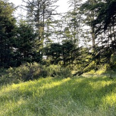 Sunrays (How Lovely)