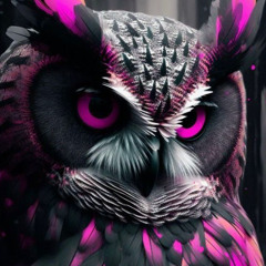 Pink Owl - #Req B