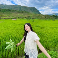 NST & VietMix - BÁNH TRÔI NƯỚC - Hieubot Initial Remix