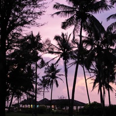 Goa Sunset