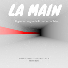 La Main - L'Élégance Fragile de la Force Cachée