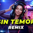 SIN TEMOR - LELOPLAY MUSICA (OFICIAL REMIX)
