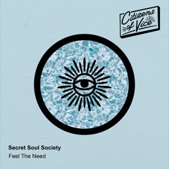 Secret Soul Society - Feel The Need [Promo Mix]
