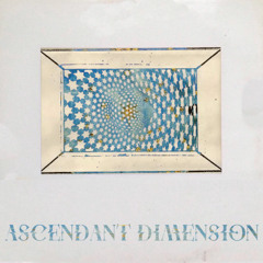 Ascendant Dimension Chapter XII