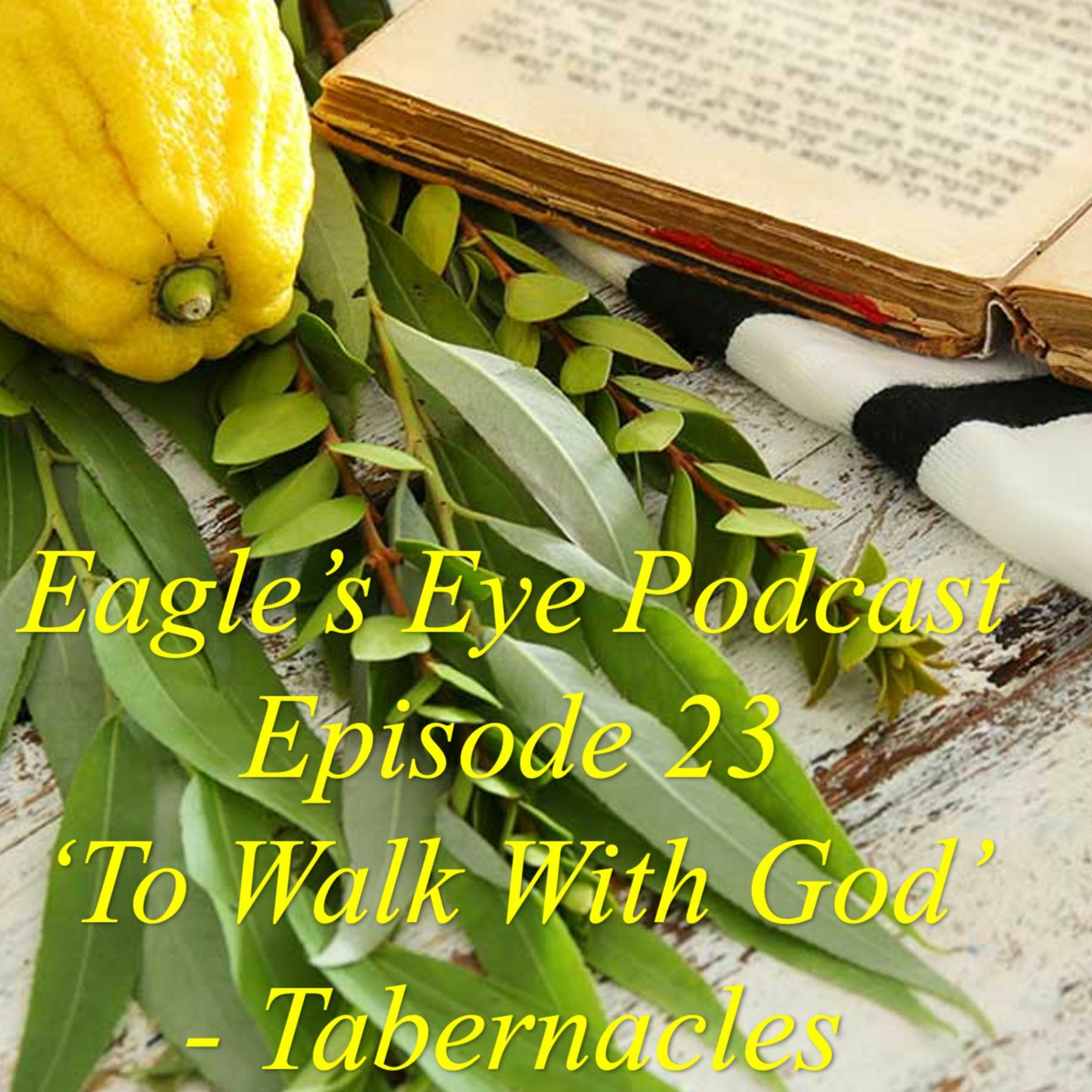 The Eagle\'s Eye Podcast
