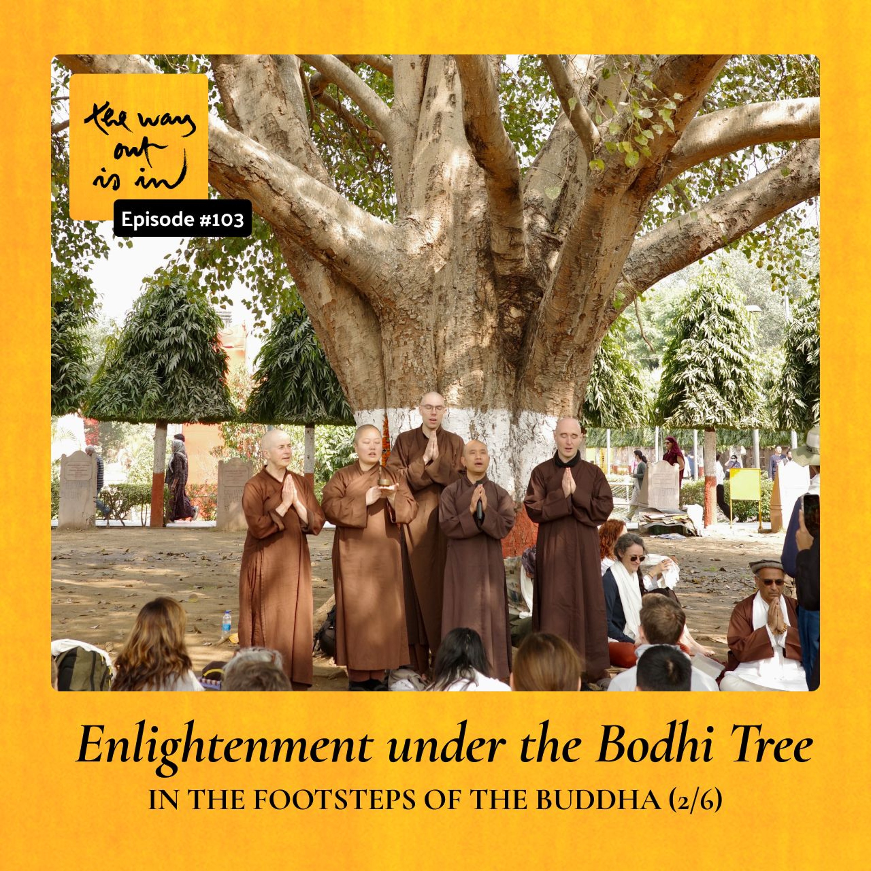 In the Footsteps of the Buddha (2/6) | Enlightenment under the Bodhi Tree | Episode 103 episode artwork