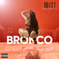 Bronco by Niecy blanco