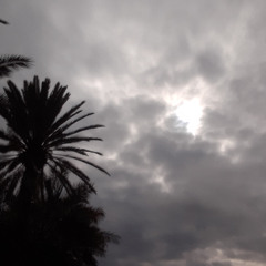 Poivre Noir, Piment Rouge SAM 3 MAI 2025