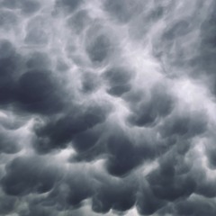 Beneath the Ashen Sky