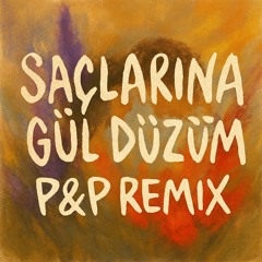 Subhan Memmedzade - Saclarina Gül Düzüm (P&P Remix)