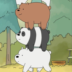 We Bear Bears