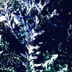 CymetryC #0.43