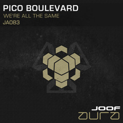 Pico Boulevard  - We're All The Same  (Original Mix )