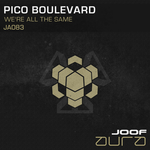 Pico Boulevard  - We're All The Same  (Original Mix )