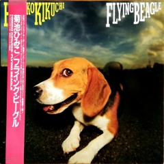 3. Flying Beagle