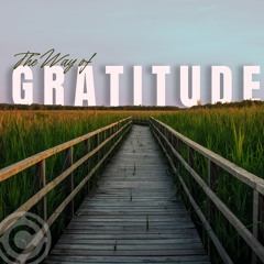 The Way of Gratitude - Week 3