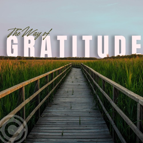 The Way of Gratitude - Week 1