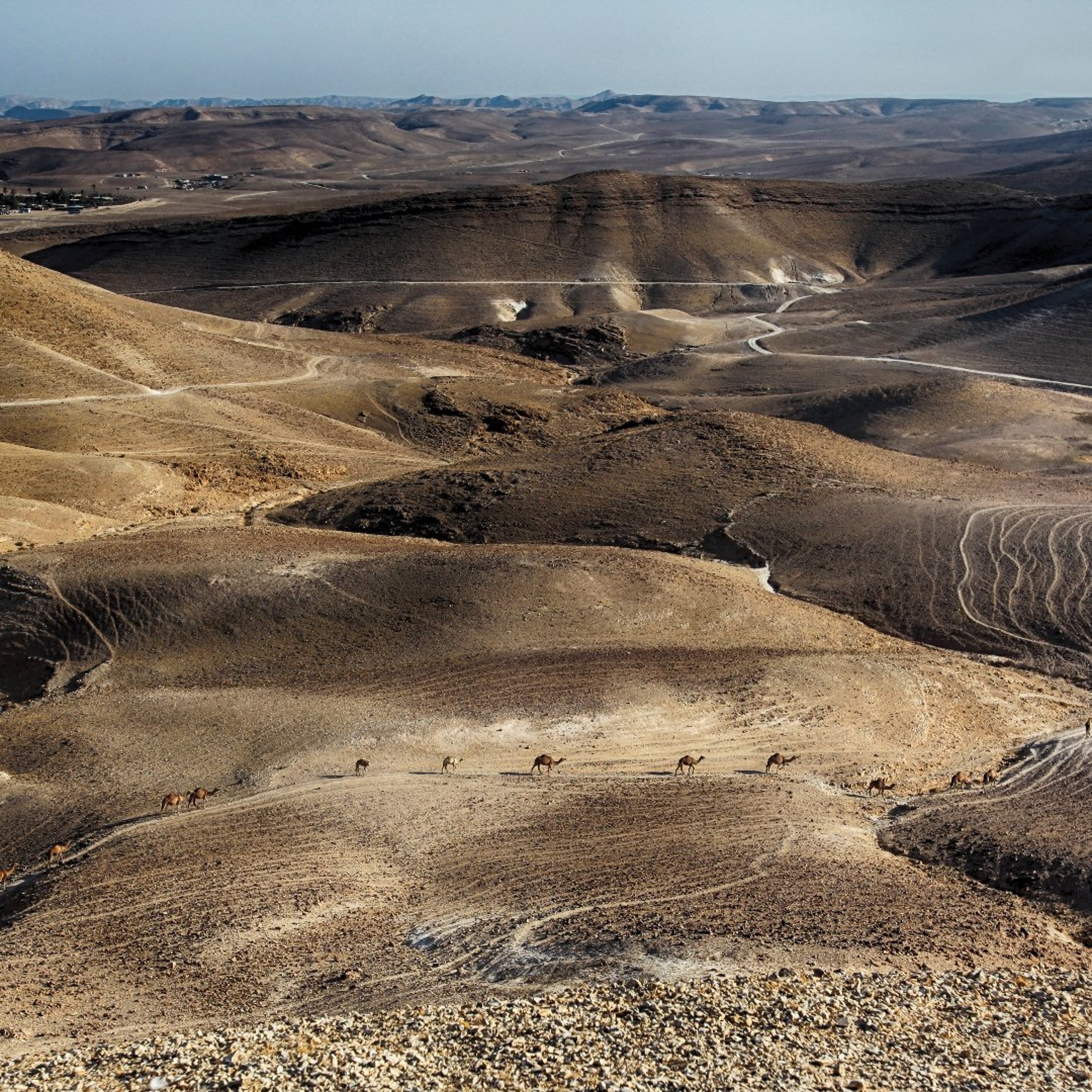 The 'Situation' in Israel - The Tamar Yonah Show episode artwork