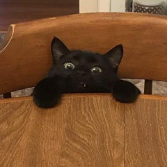 Southern sky (live) Sandy alex g