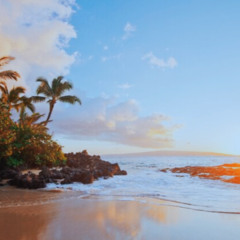 Tropical GasS